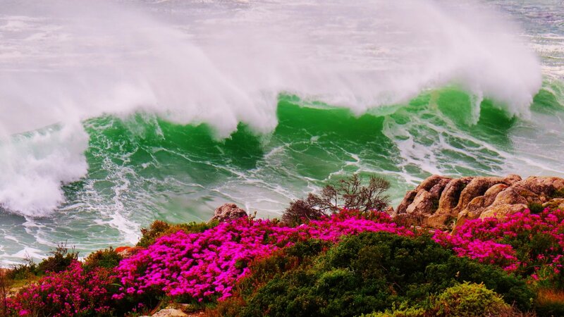 Green Wave Crashing on Shore — Dramatic, Photograph