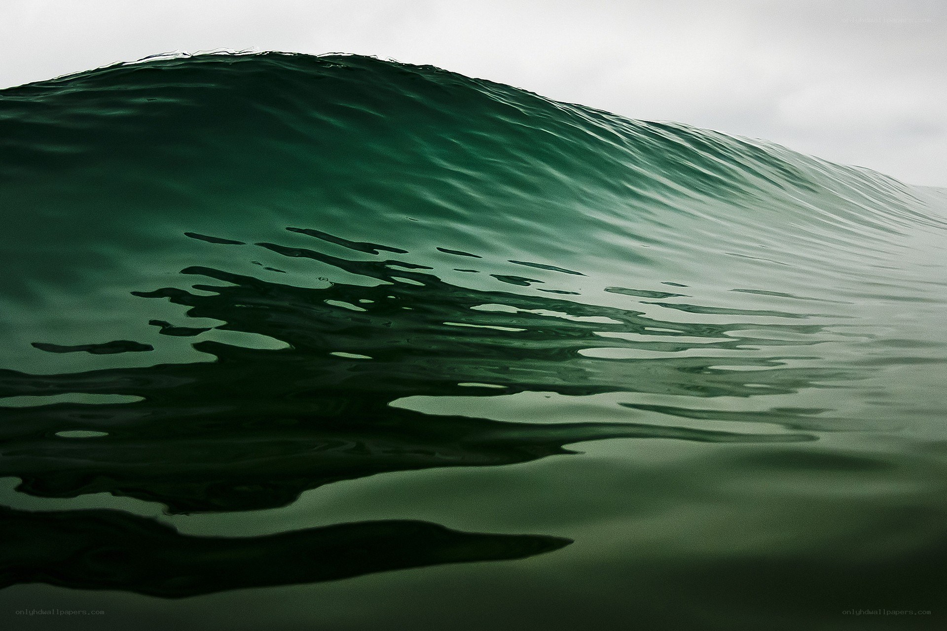 green wave forming in ocean