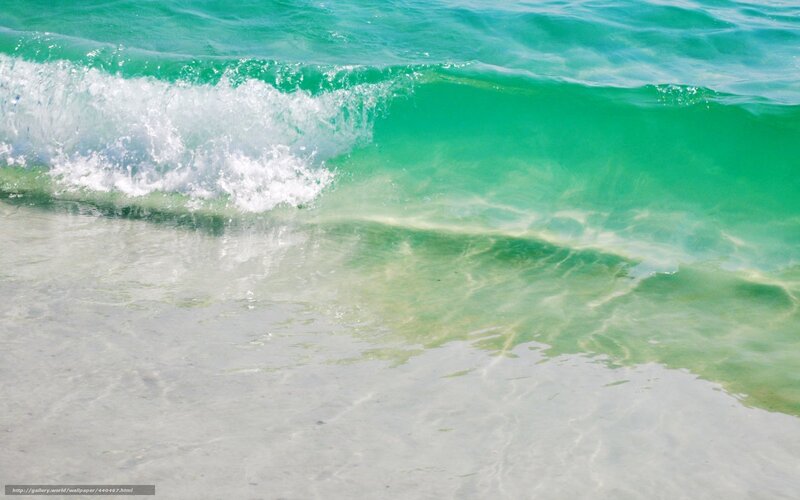 Green Wave on Beach
