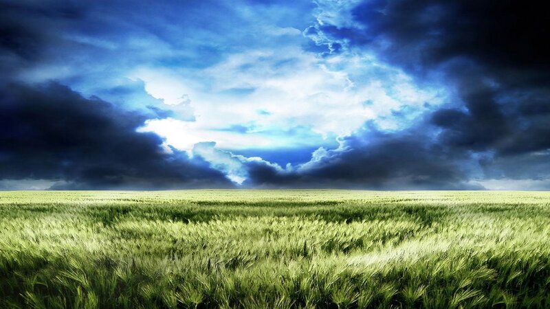 Green Wheat Field — Blue, Dramatic