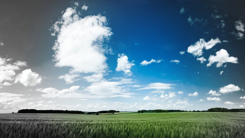 Green Wheat Field — Blue, Serene, Afternoon, Photograph, Clouds