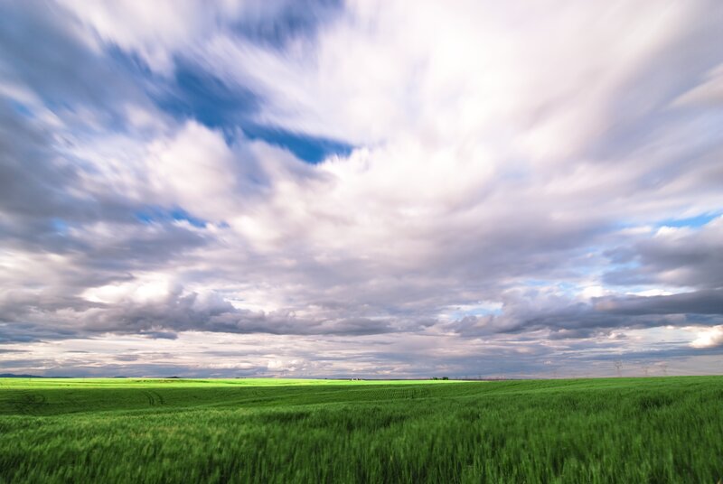 Green Wheat Field — Dramatic, Afternoon, Photograph, Clouds, Sky