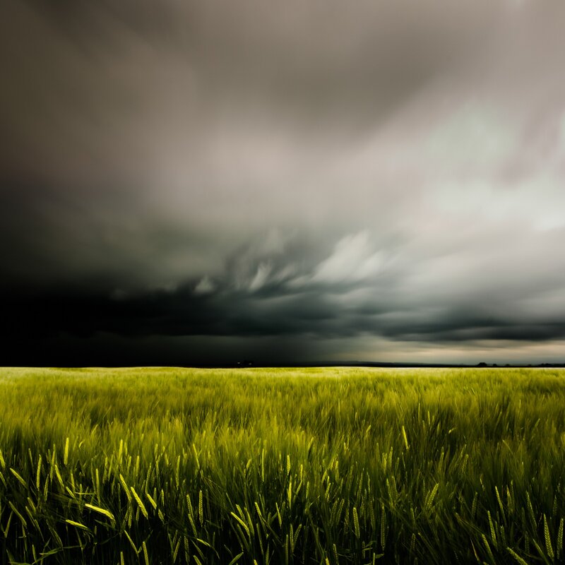 Green Wheat Field — Dramatic, Afternoon, Photograph, Storm Clouds