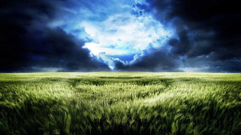 Green Wheat Field — Dramatic, Digital Art