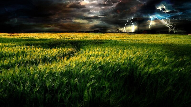 Green Wheat Field — Dramatic, Night, Photograph, Storm