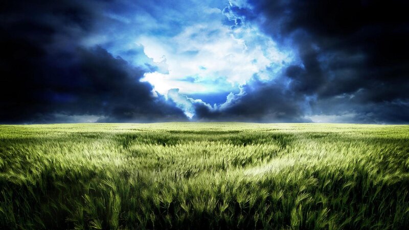 Green Wheat Field — Dramatic, Photograph, Sky