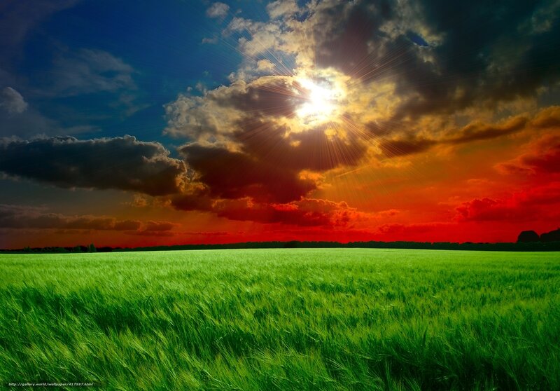 Green Wheat Field — Dramatic, Sunset, Photograph, Sun, Clouds