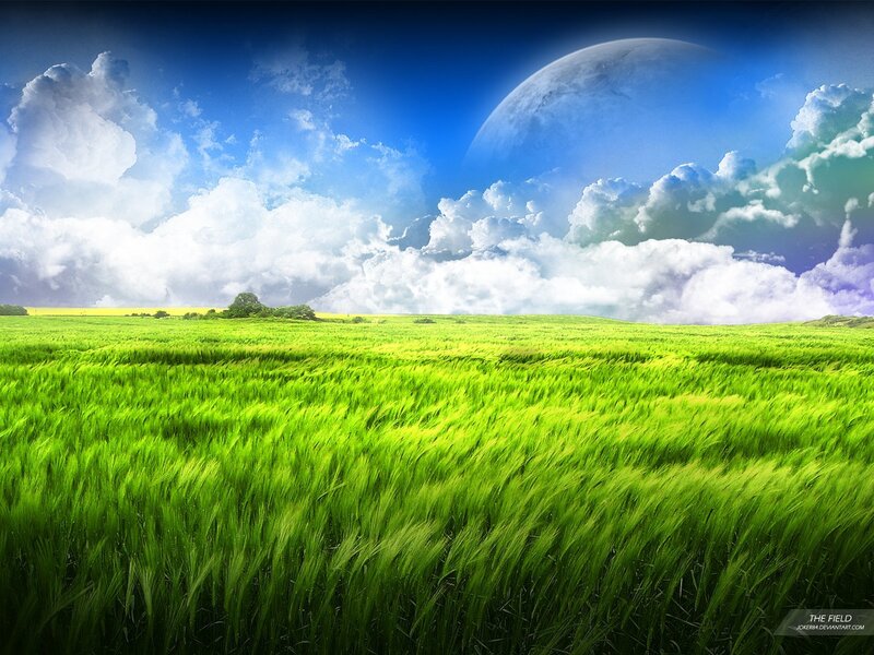 Green Wheat Field — Serene, Afternoon, Digital Art