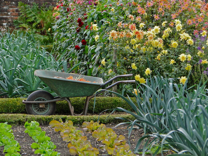 Green Wheelbarrow in Garden