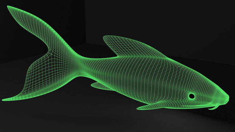 Green Wireframe Fish