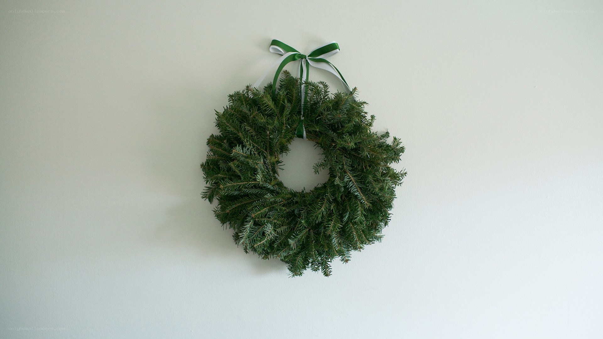 green wreath on white wall
