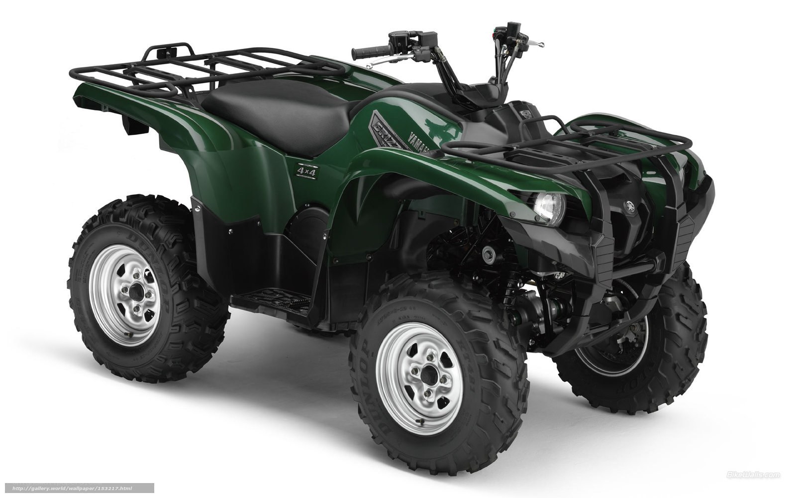 Green Yamaha Grizzly ATV
