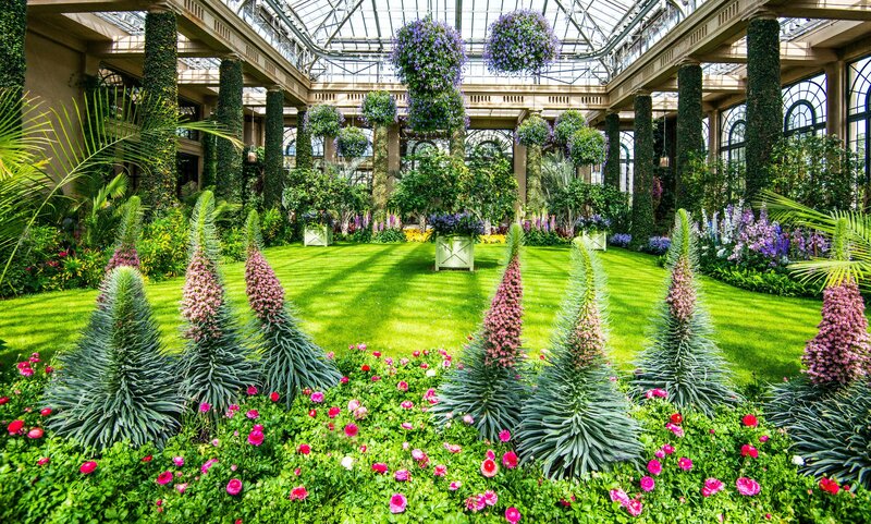 Greenhouse Garden Interior