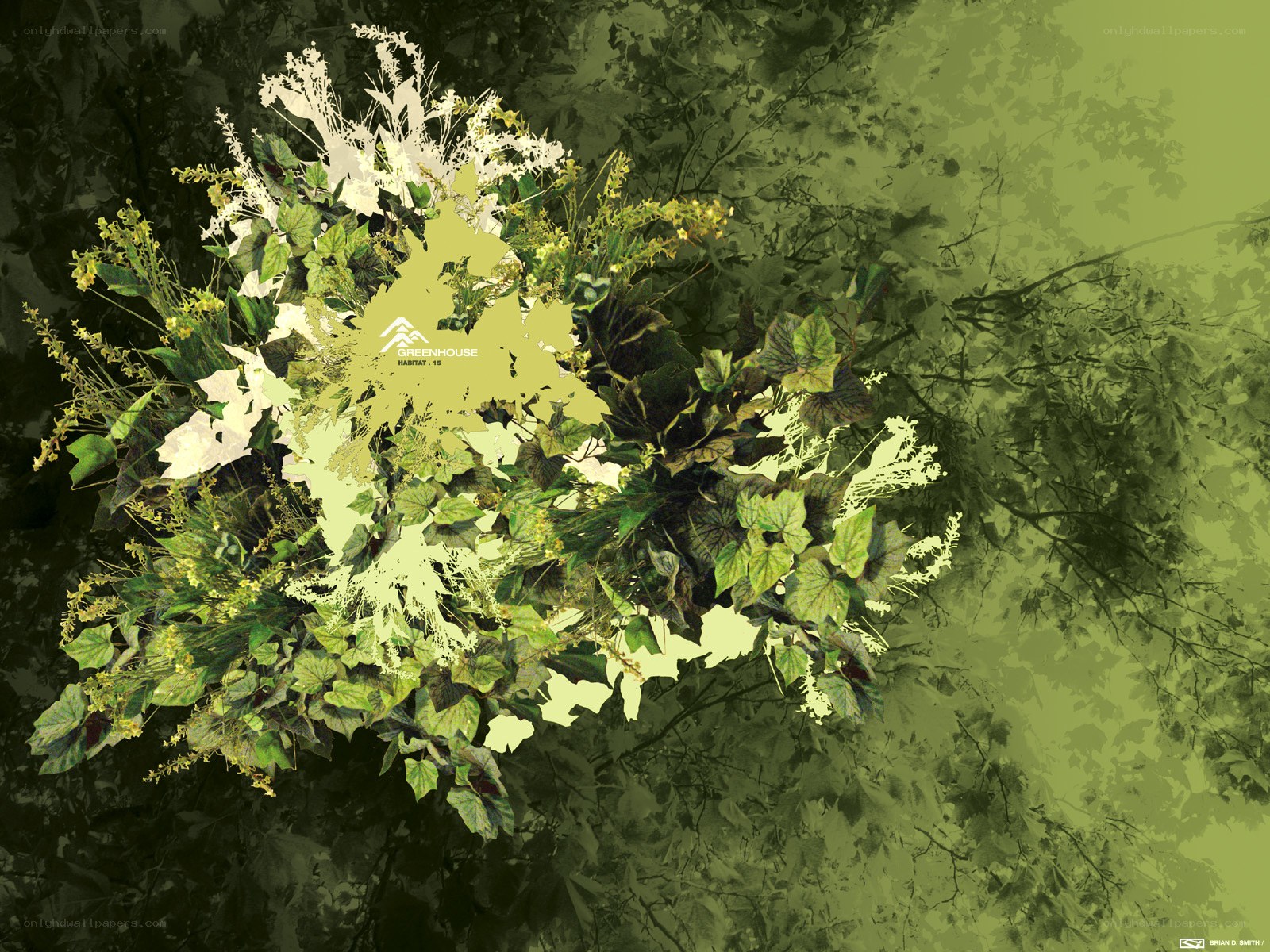 Greenhouse Habitat 13 artwork