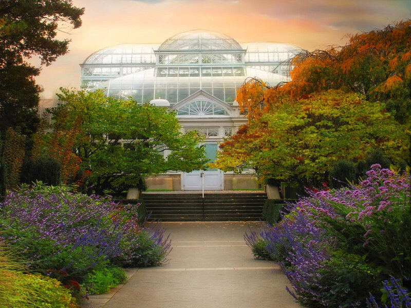Greenhouse with Autumn Trees