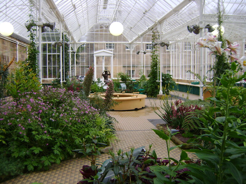 Greenhouse with Plants