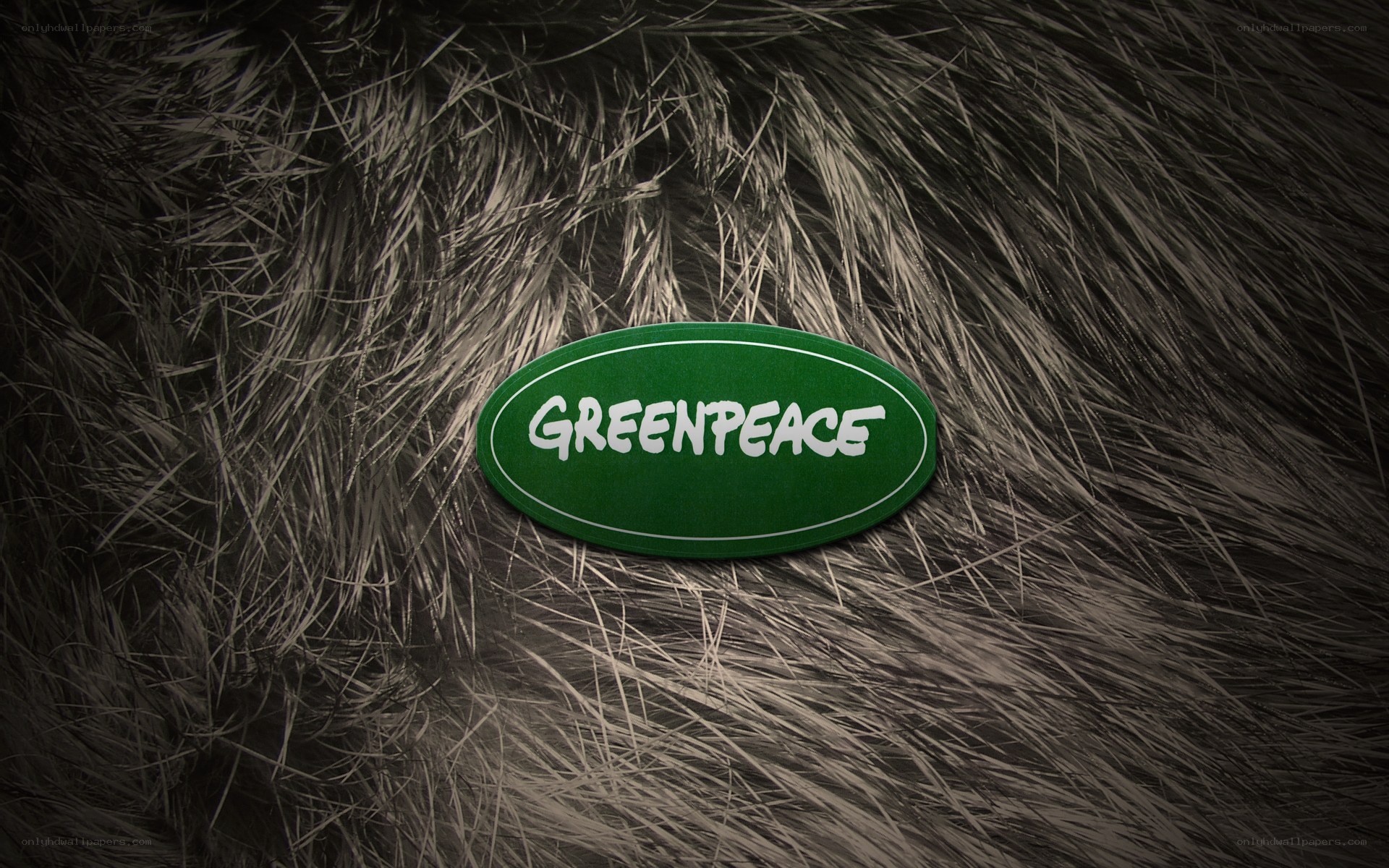 Greenpeace logo on fur