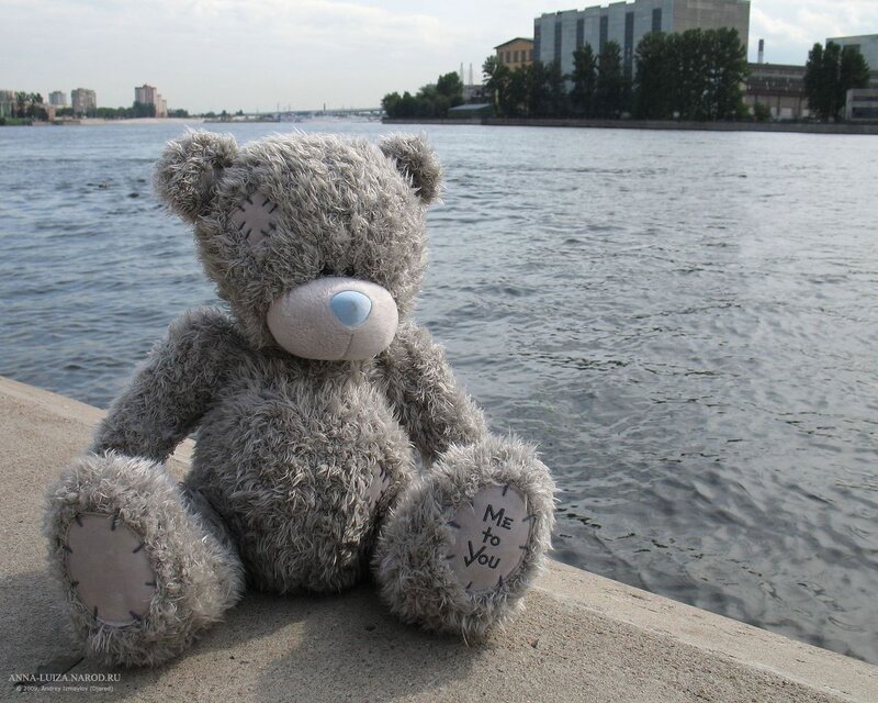 Grey Teddy Bear — Calm