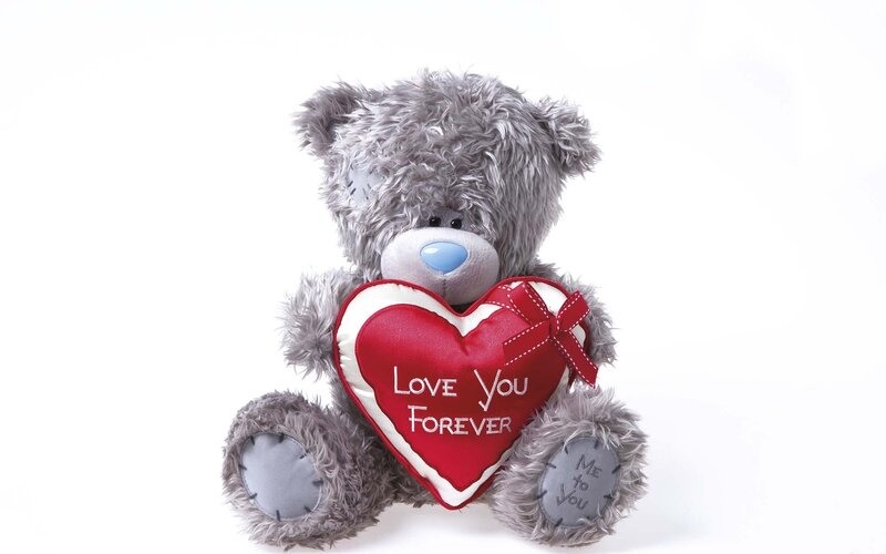 Grey Teddy Bear — Gray