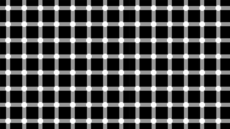 grid of white dots on black background