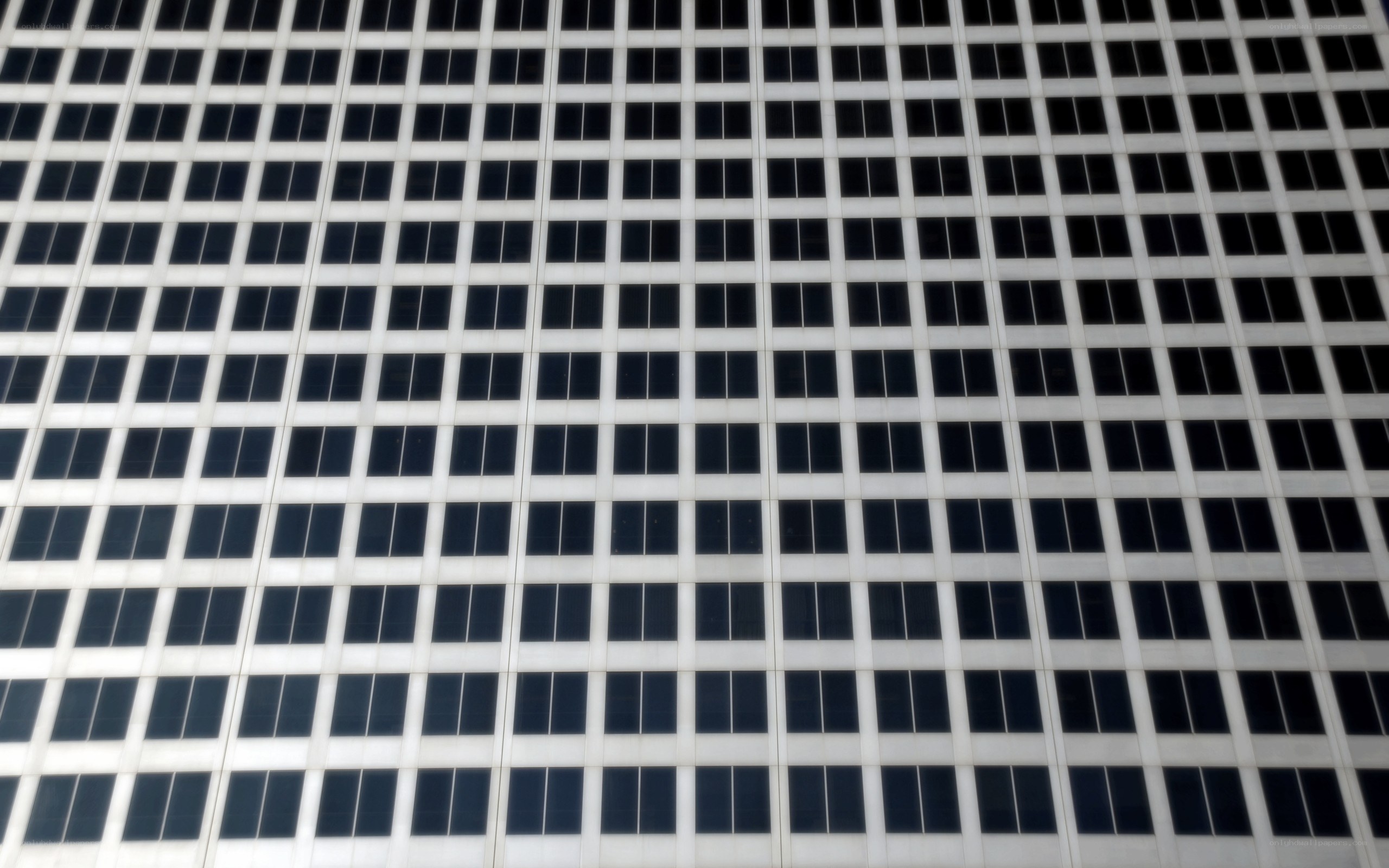 grid of windows on building