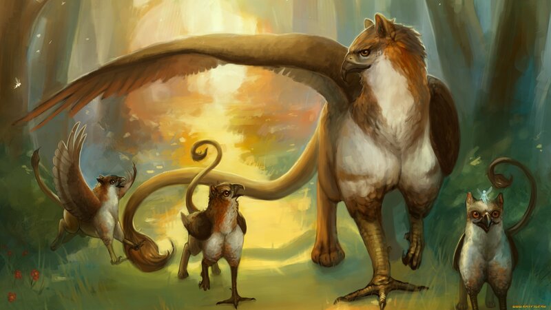 Griffin Family in Forest