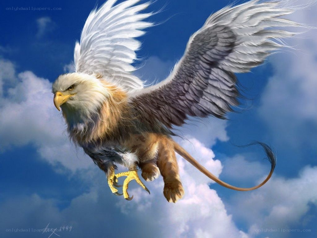 griffin flying in the sky