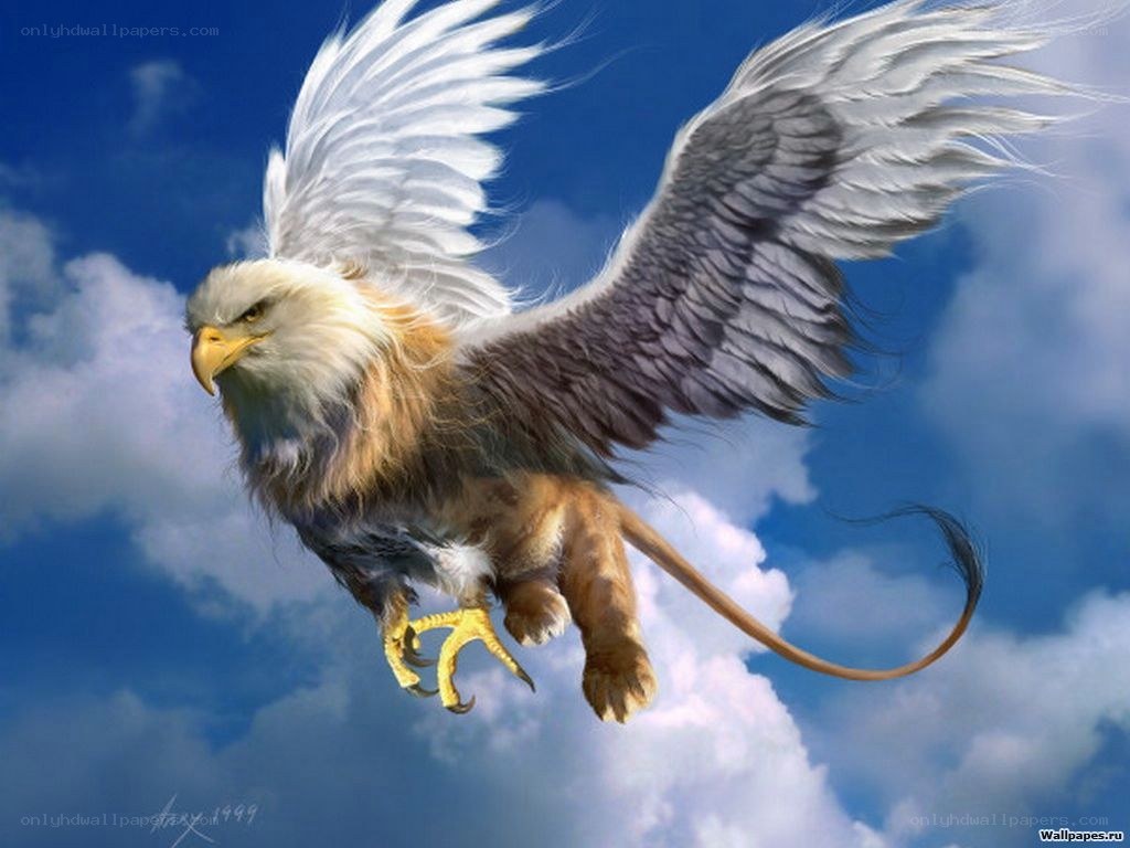 griffin flying in the sky