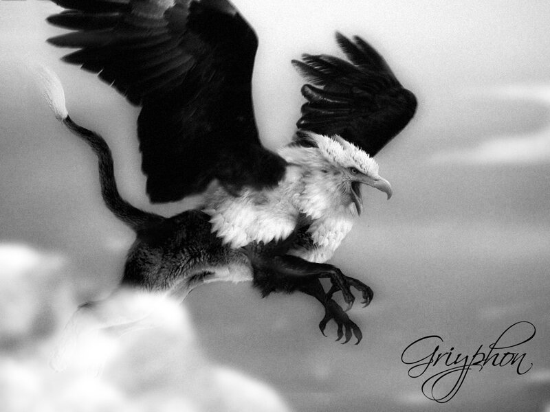 griffin in flight