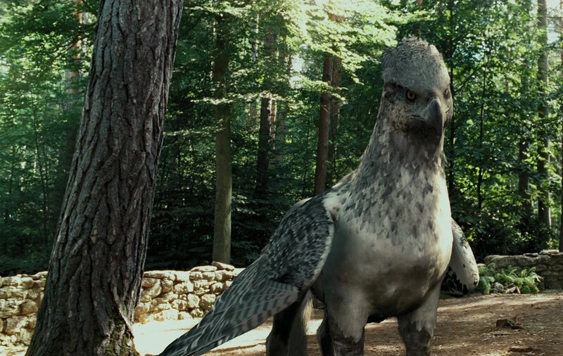 Griffin in Forest