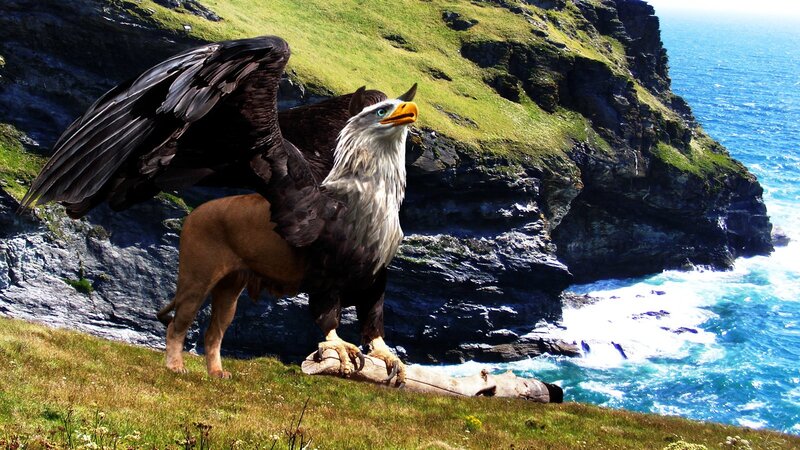 Griffin on Cliff