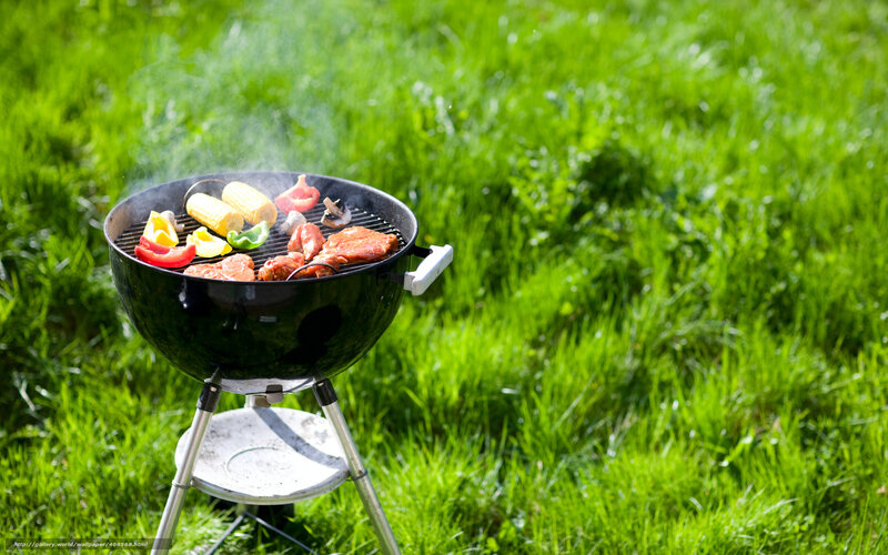 Grill with Food on Grass