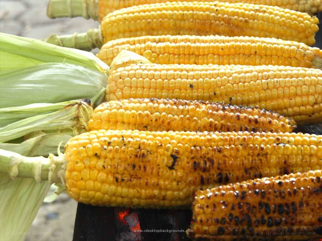 grilled corn on the cob