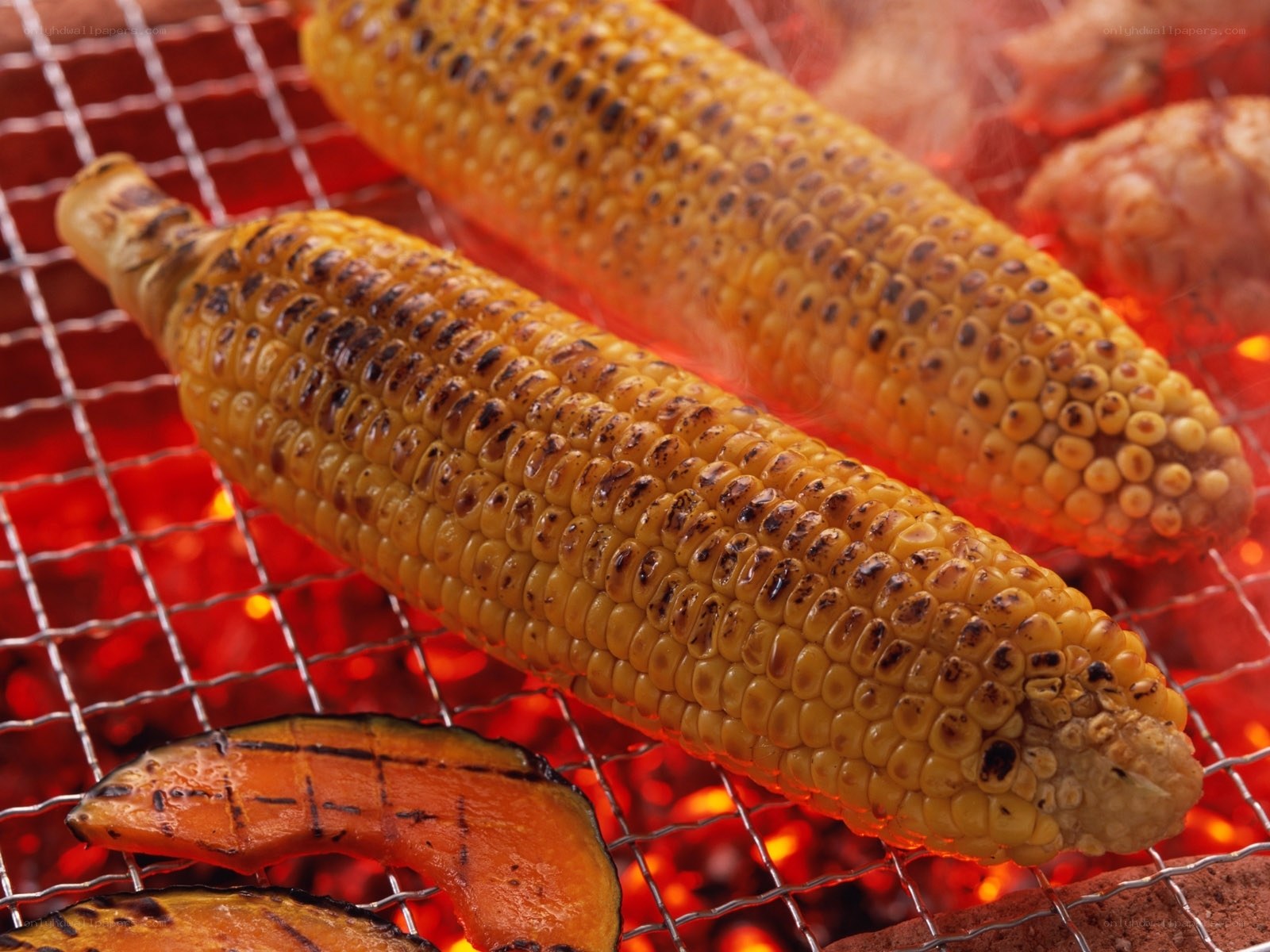 Grilled corn on the cob