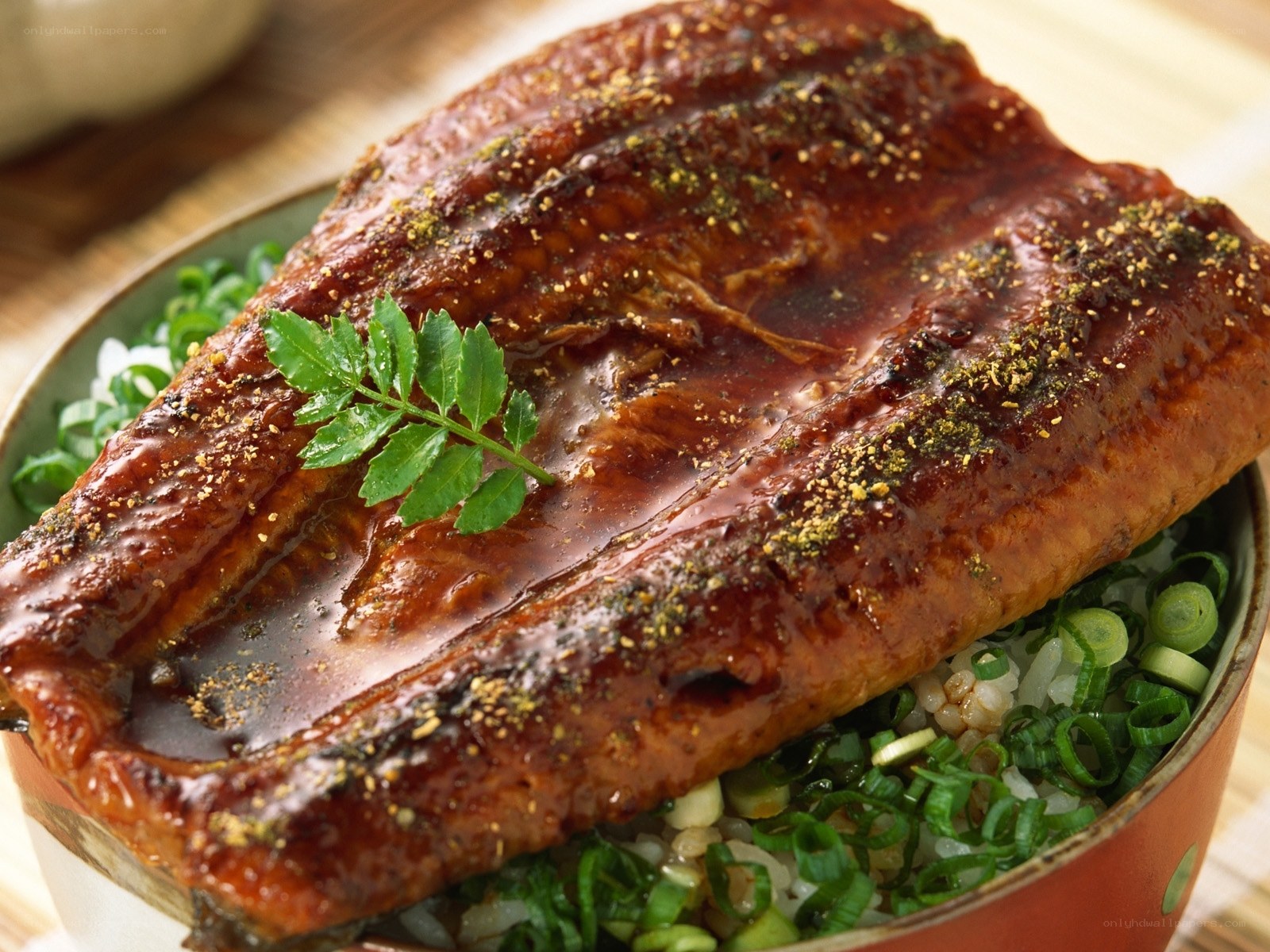 Grilled eel over rice bowl