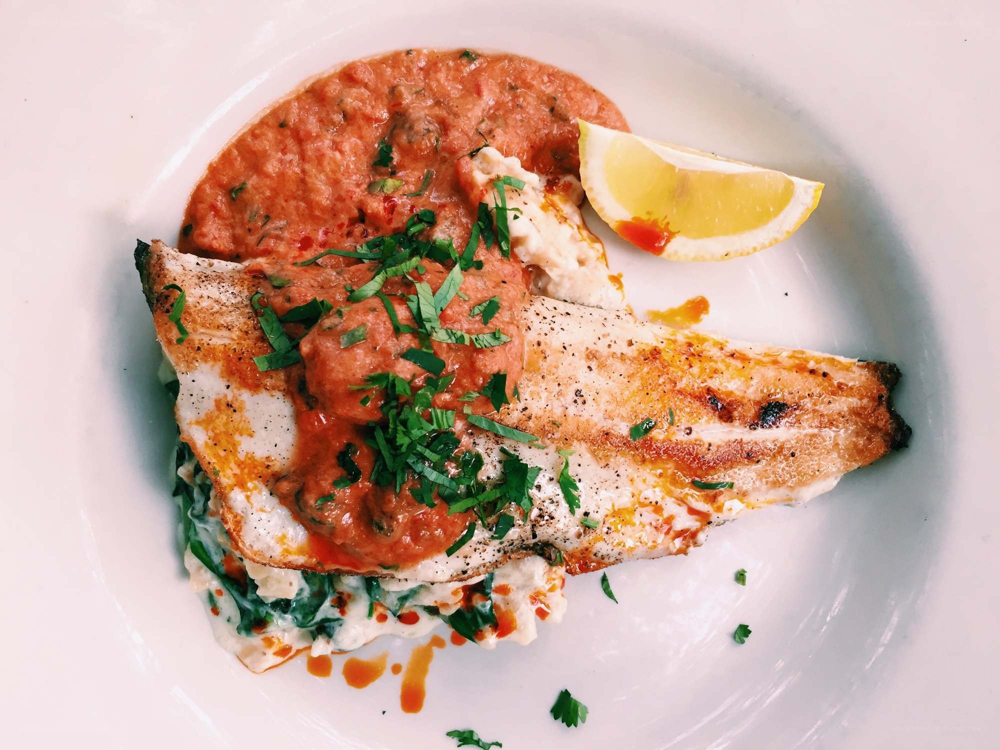 Grilled fish with tomato sauce