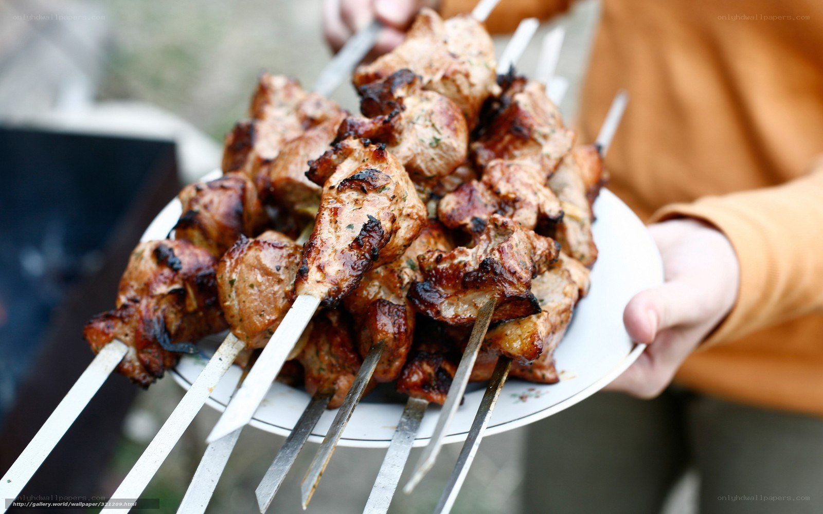 Grilled meat skewers on plate