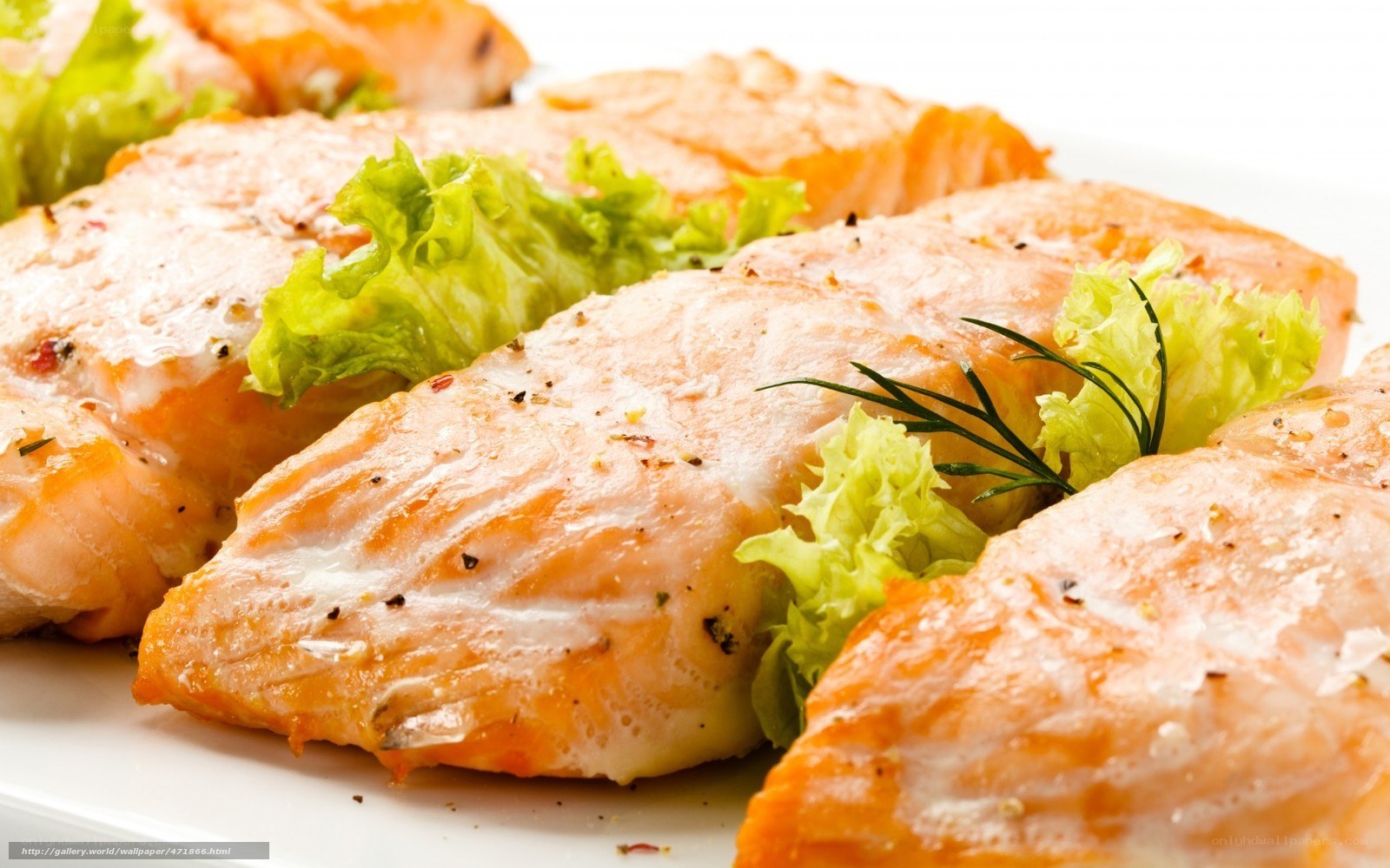 grilled salmon fillets with lettuce
