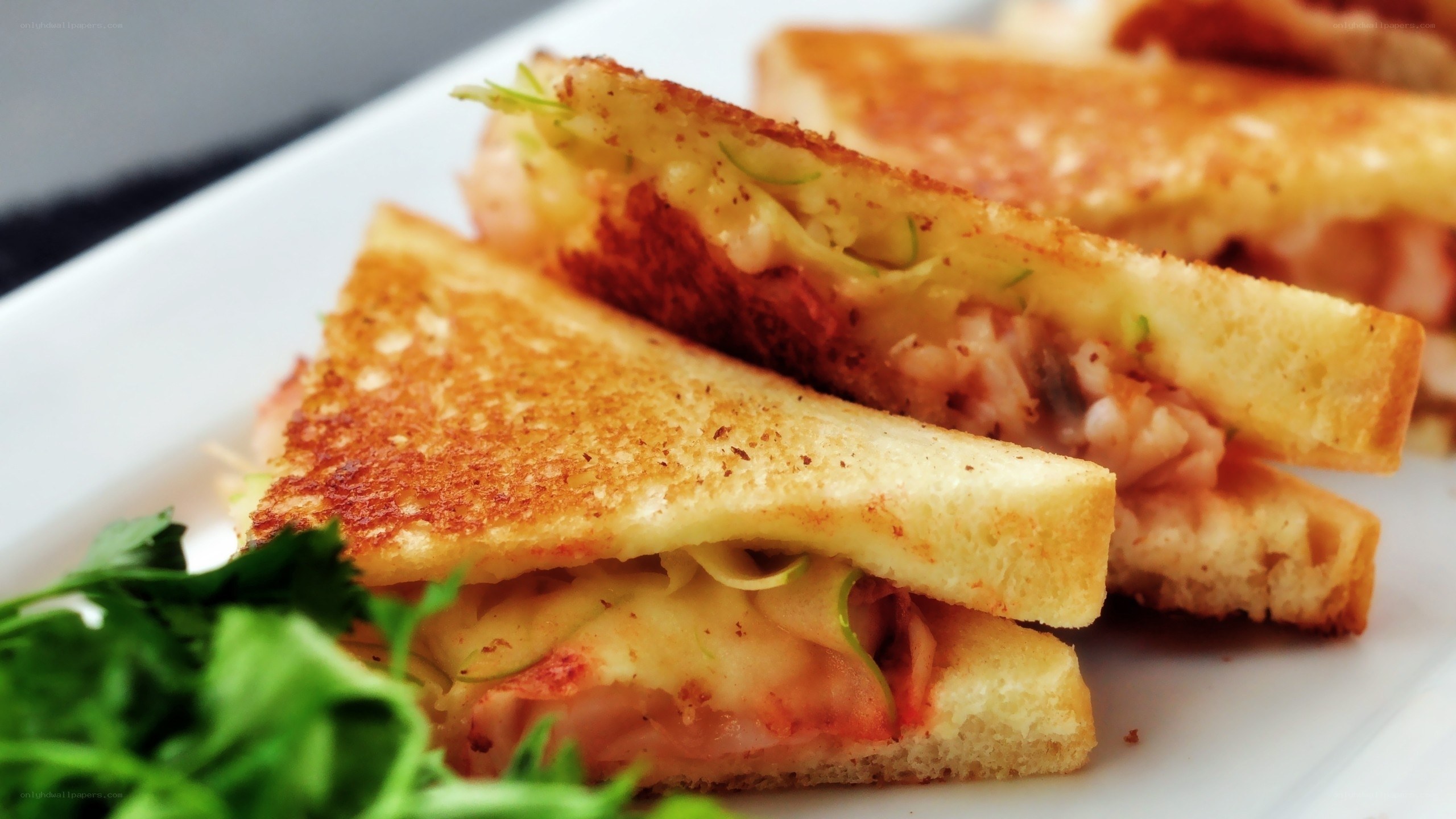 grilled sandwich with shrimp