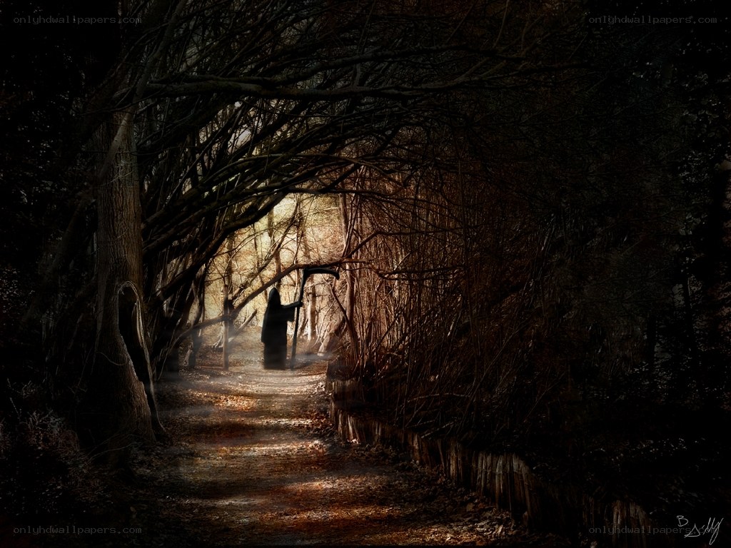 Grim Reaper in a dark forest