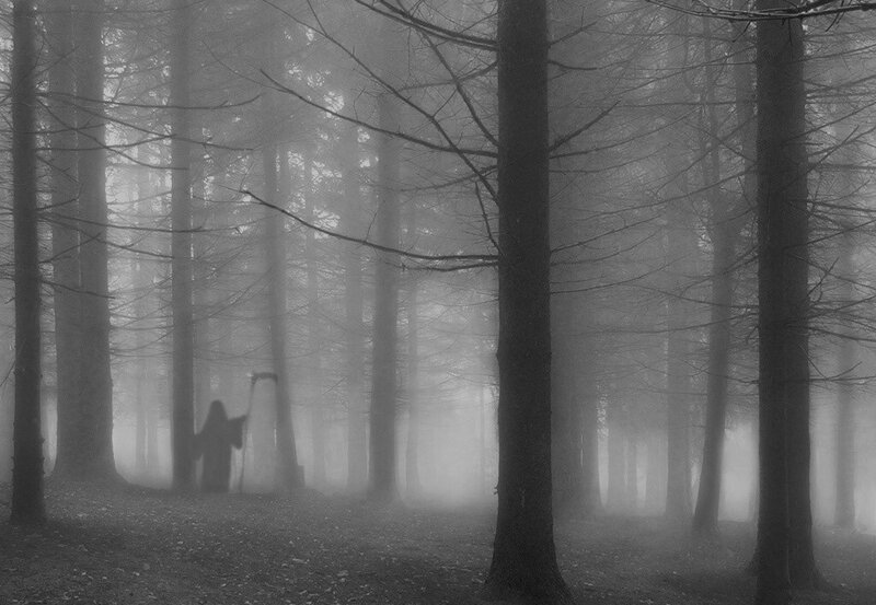 Grim reaper in a foggy forest