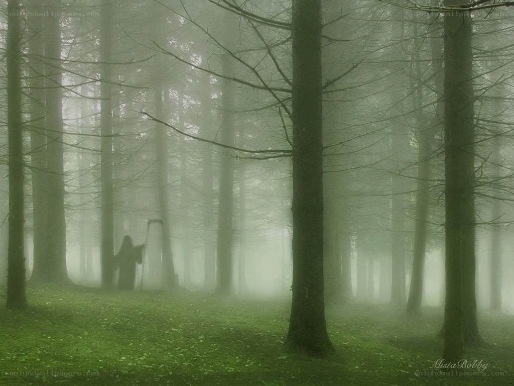 Grim reaper in a misty forest