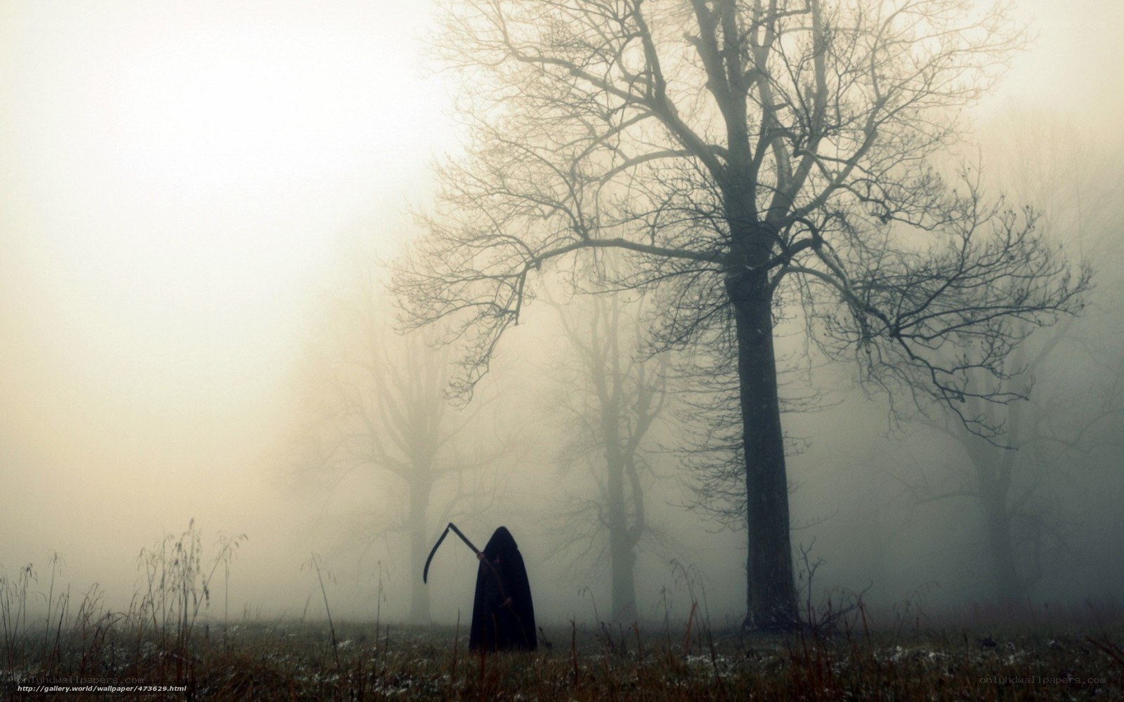 Grim reaper in foggy forest