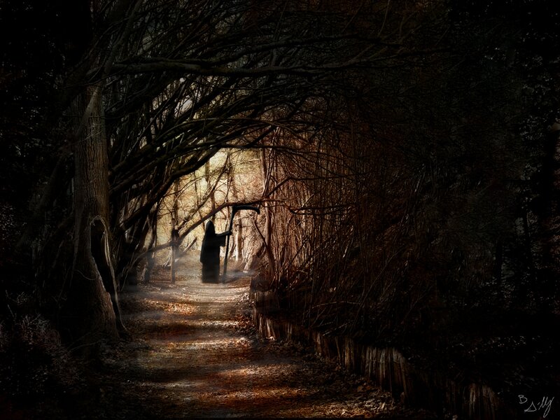 Grim Reaper in Forest — Black, Dark, Night
