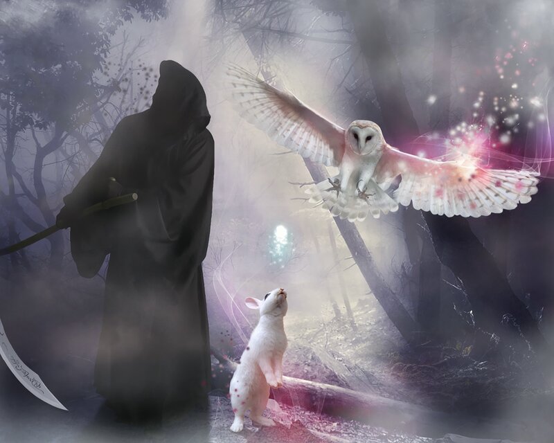 Grim Reaper in Forest — Black, Mystical