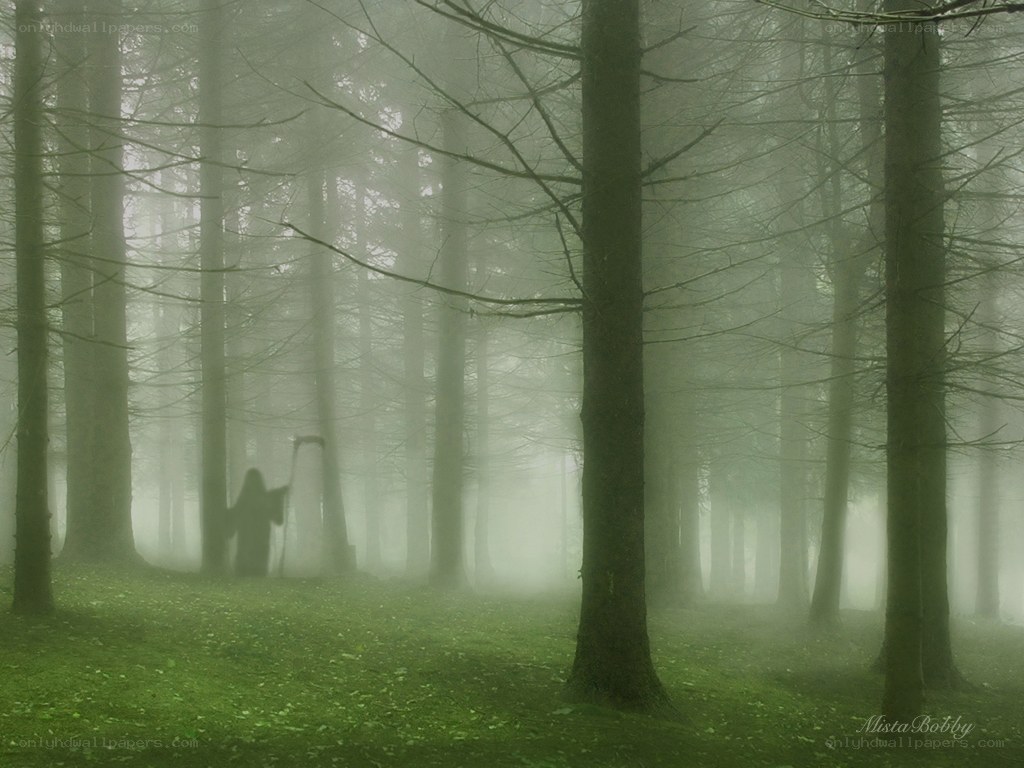 Grim reaper in misty forest