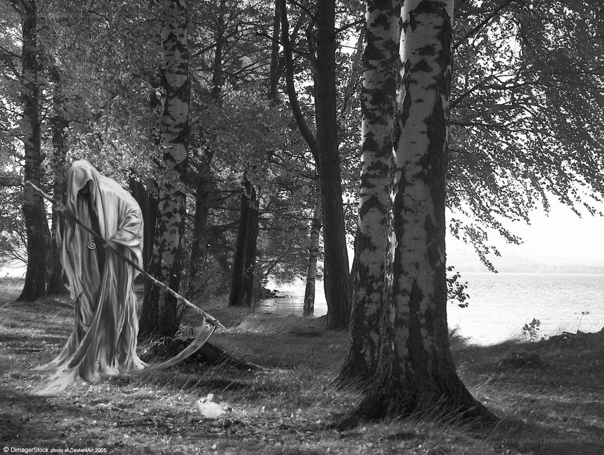 Grim Reaper in the forest