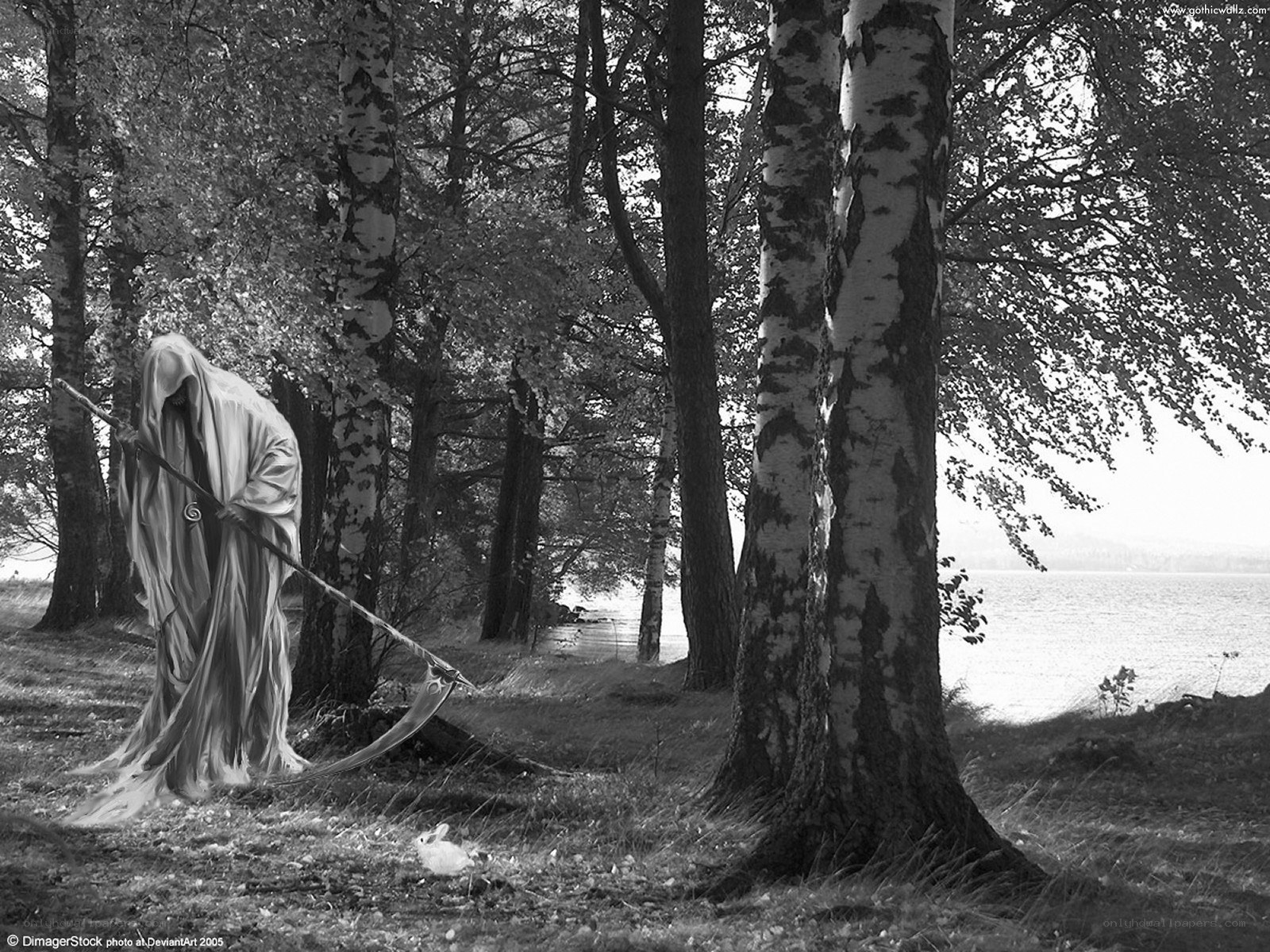 Grim Reaper in the forest