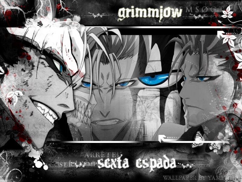 Grimmjow and allies wallpaper