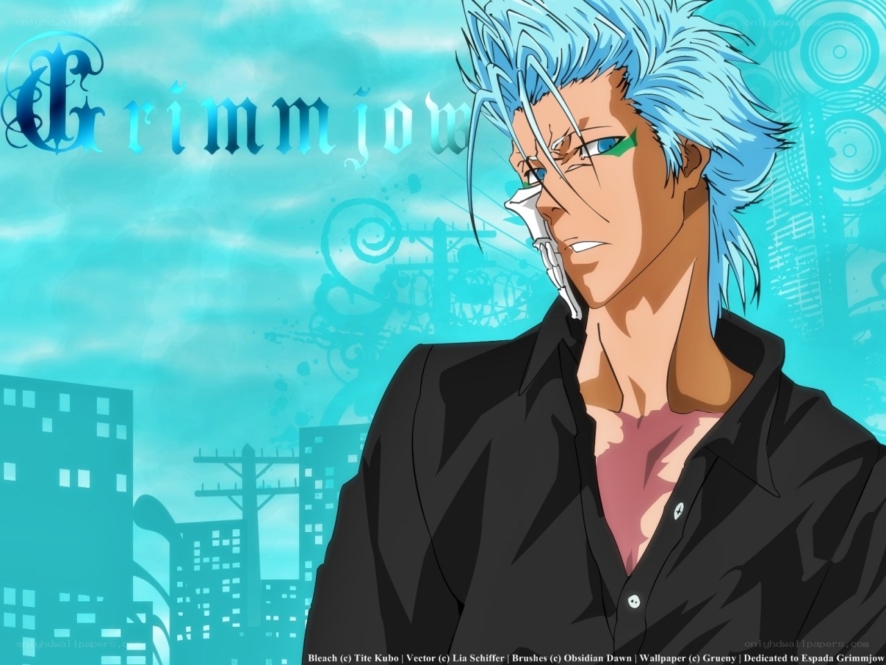 Grimmjow Jaegerjaquez portrait